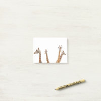 Giraffe Fun Foto - Vier-Giraffen-Sitzung