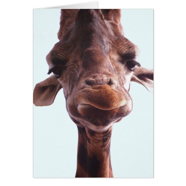 Giraffe Funny Face (Vorne)