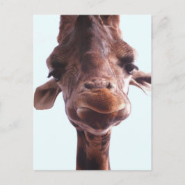 Giraffe Funny Face Postkarte