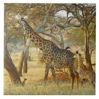 Giraffe für Erwachsene und Jugendliche, Giraffa Fliese