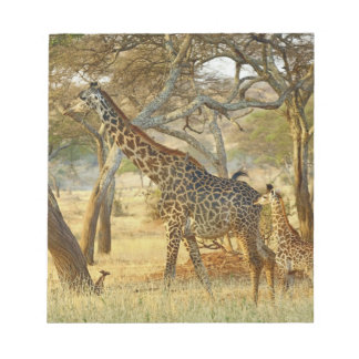 Giraffe für Erwachsene und Jugendliche, Giraffa Notizblock