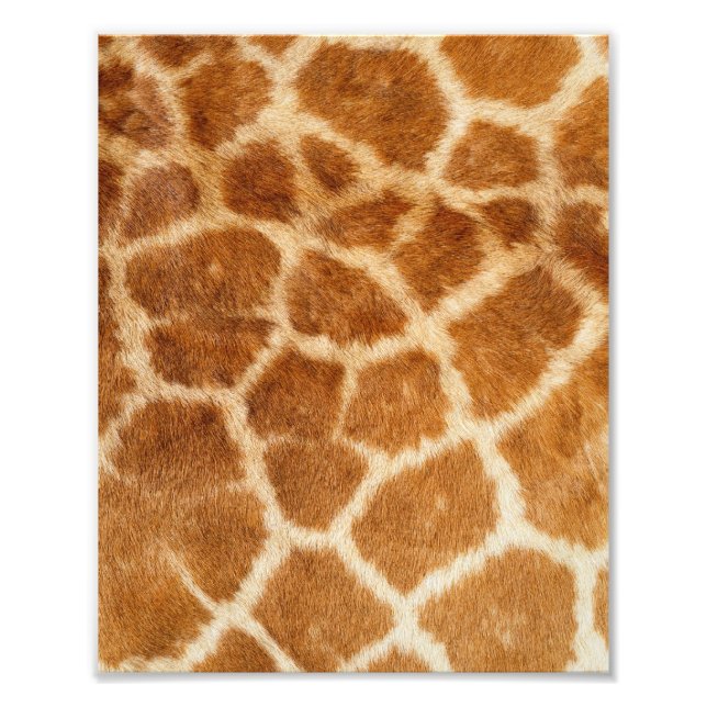 Giraffe Fur Print Fotodruck (Vorne)