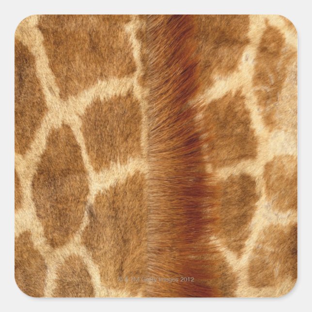 Giraffe Fur Quadratischer Aufkleber (Vorderseite)