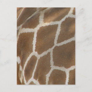 Giraffe Gemusterte Postkarte