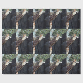 Giraffe Geschenkpapier