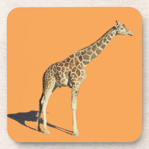 Giraffe Getränkeuntersetzer