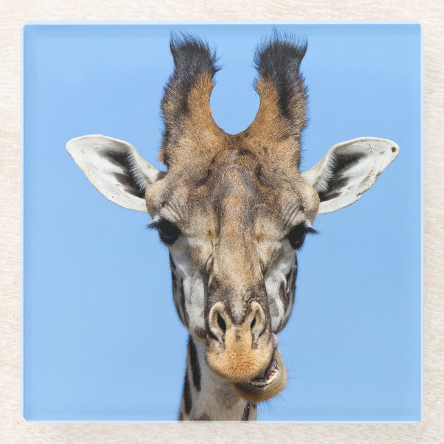 Giraffe Glasuntersetzer (Vorderseite)