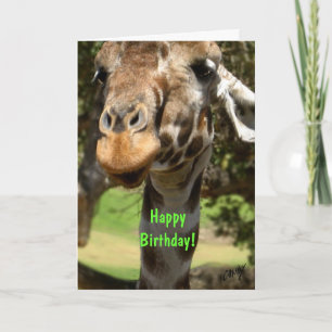 Giraffe, glücklich zum Geburtstag! Karte