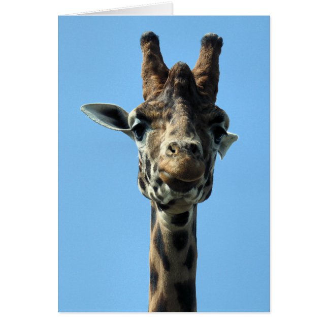 GIRAFFE GREETINGS CARD (Vorne)