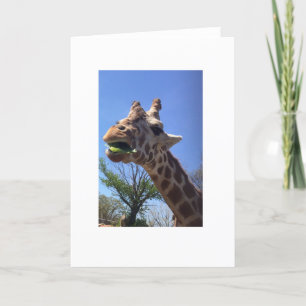 Giraffe Grußkarte Karte