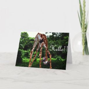 Giraffe hallo karte