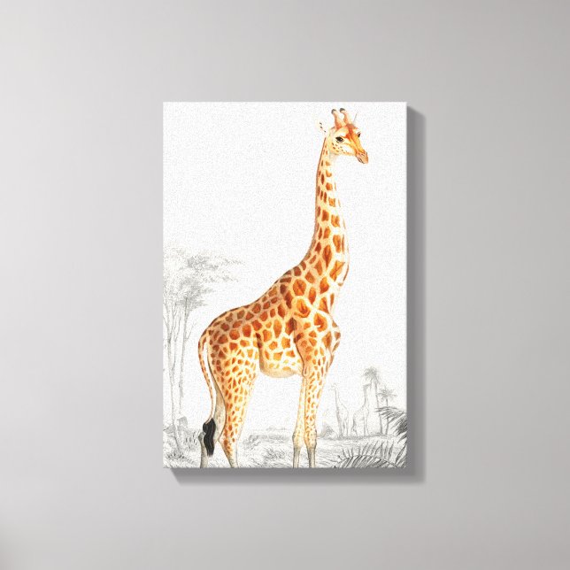 Giraffe Illustration Vintage Kunstdrucke Leinwanddruck (Vorderseite)