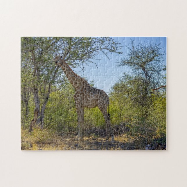 Giraffe im natürlichen Lebensraum, Afrika Puzzle (Horizontal)