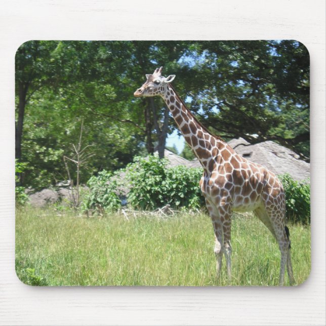 Giraffe im wilden mousepad (Vorne)