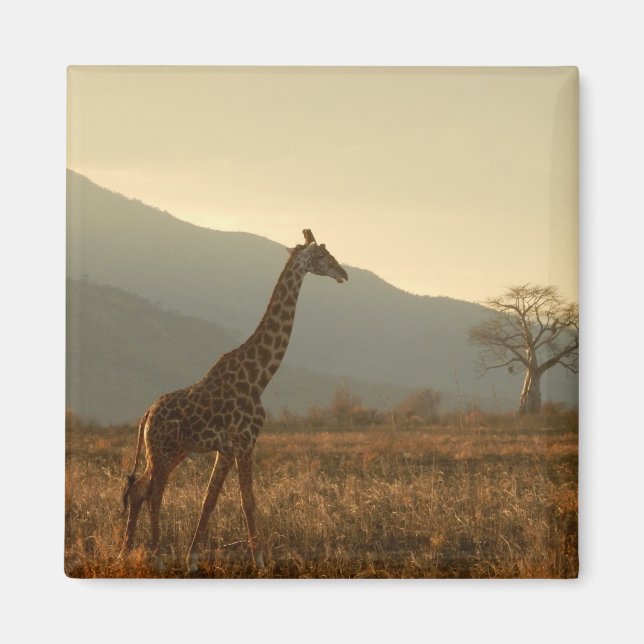 Giraffe in der Savannah Magnet (Vorne)