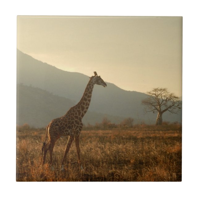 Giraffe in der Savanne Fliese (Vorderseite)