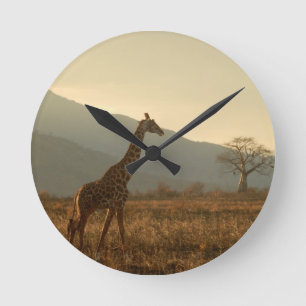 Giraffe in der Savanne Runde Wanduhr