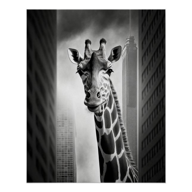 Giraffe in einem Stadtbild Poster (Vorderseite)