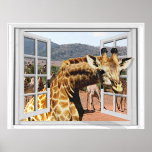 Giraffe in Fake Window View Trompe l'oeil Effect Poster