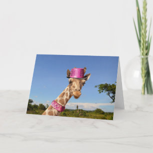 Giraffe in funkelnd-rosa Hut