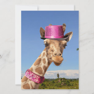 Giraffe in funkelnd-rosa Hut