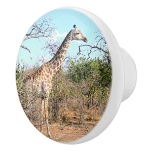 GIRAFFE IN NATÜRLICHER HABITAT (BOTSWANA) KERAMIKKNAUF