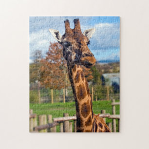 Giraffe Jigsaw Puzzle