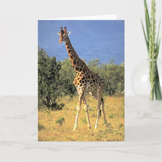 Giraffe Karte (Vorderseite)