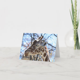 Giraffe Karte