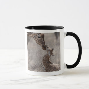 Giraffe, Kenia, Afrika Tasse
