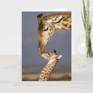 Giraffe Kissing Baby Giraffe Karte