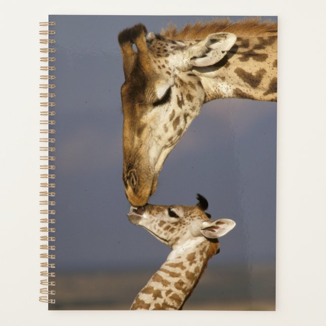 Giraffe Kissing Baby Giraffe Planer (Vorderseite)