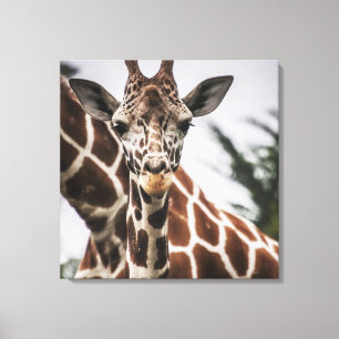 Giraffe, Kopf Giraffe, Pelzabdruck Afrikanisches T Leinwanddruck