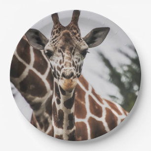 Giraffe, Kopf Giraffe, Pelzabdruck Afrikanisches T Pappteller