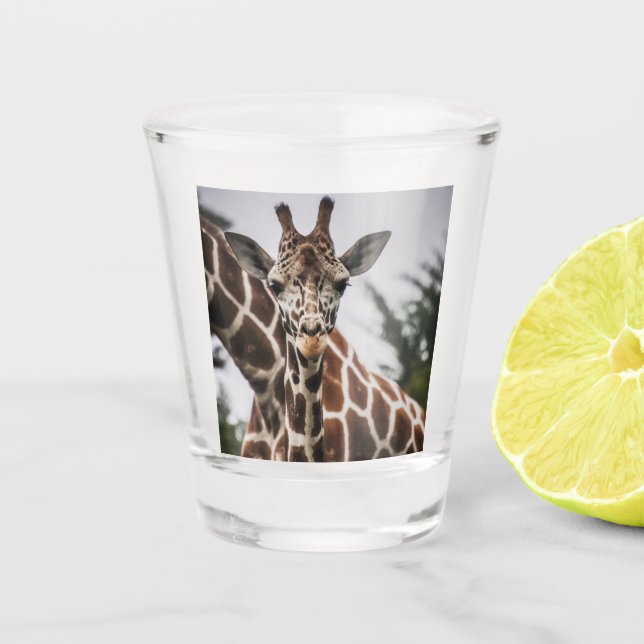 Giraffe, Kopf Giraffe, Pelzabdruck Afrikanisches T Schnapsglas (Vorderseite)