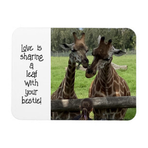 Giraffe Liebe... Magnet