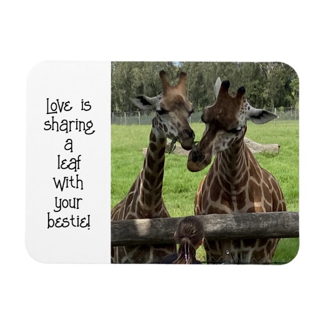Giraffe Liebe... Magnet (Horizontal)