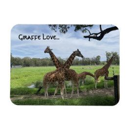 Giraffe Liebe...Magnet Magnet