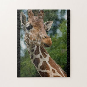 Giraffe-Liebe Puzzle