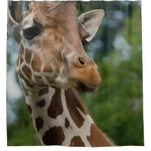 Giraffe Lovers Art Duschvorhang
