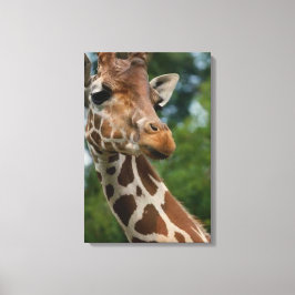 Giraffe Lovers Art Leinwanddruck