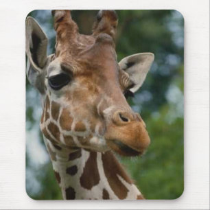 Giraffe Lovers Kunstgeschenke Mousepad