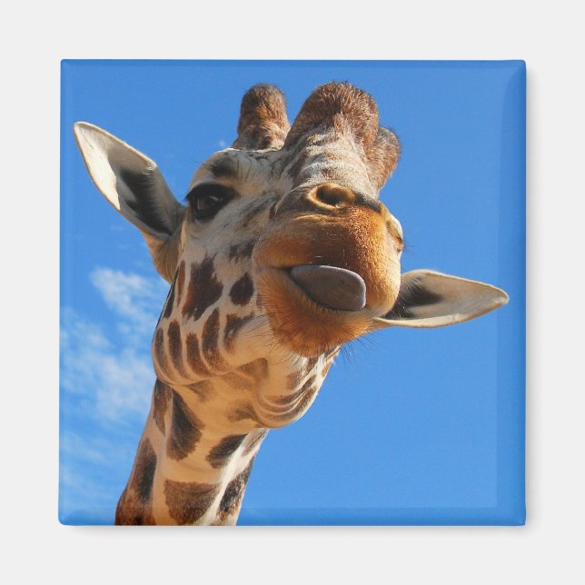 Giraffe Magnet (Vorne)