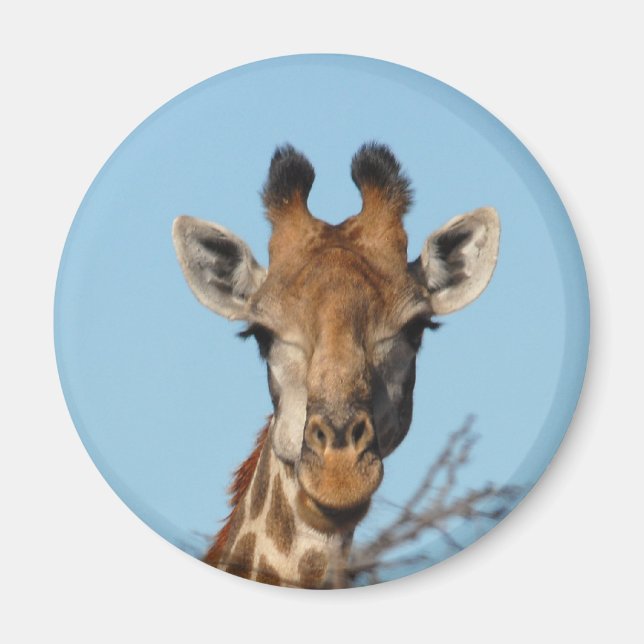 Giraffe Magnet (Vorne)
