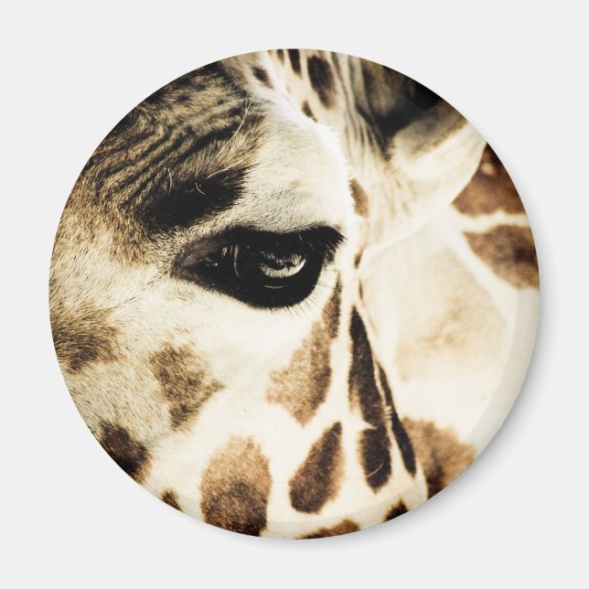 Giraffe Magnet (Vorne)