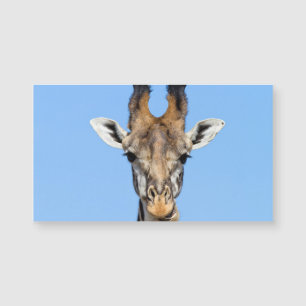 Giraffe Magnetkarte