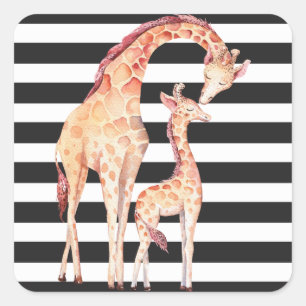 Giraffe-Mama und Baby-Giraffe-Streifen-Aufkleber Quadratischer Aufkleber