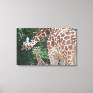 Giraffe Mama und Baby Poster Leinwanddruck