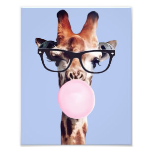 Giraffe mit Brille bläst Bubble Gum Fotodruck