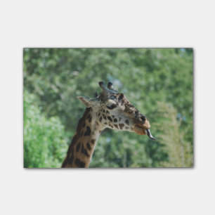 Giraffe mit einer langen Zunge Post-it Klebezettel
